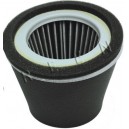 Filtru de aer Robin - Subaru EY28